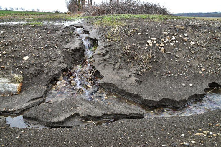 Soil Erosion: What Causes It & How to Protect Your Home from Damages