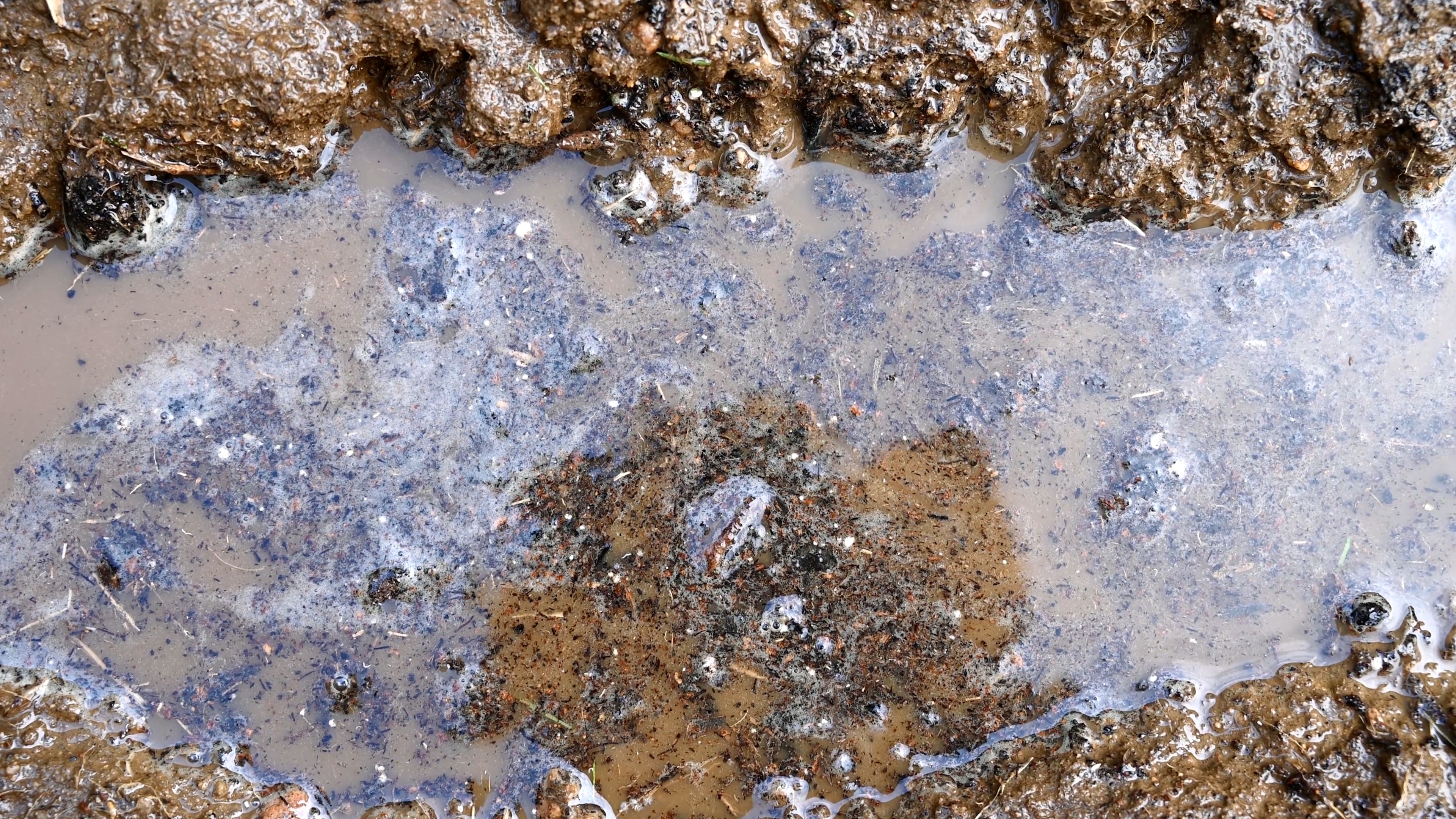 Prepare. <br>Protect. <br>Prevail.