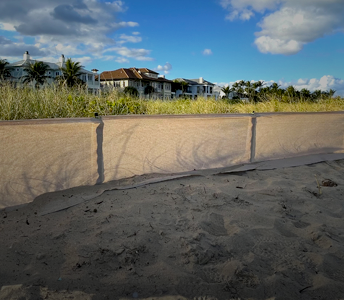 DUNE RESTORATION