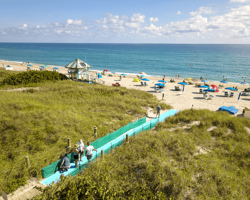 Load image into Gallery viewer, Overview picture of people on the peach walking along walkway adorned by weather barriers