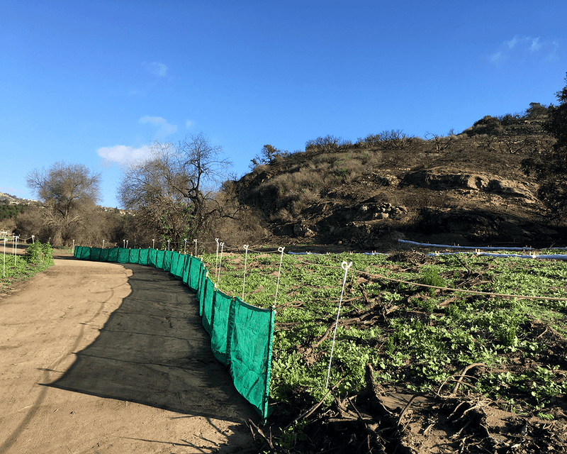 Load image into Gallery viewer, Green weather barriers next to farmland