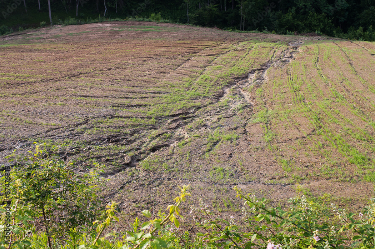 DIY Erosion Control Tips for Your Home and Property