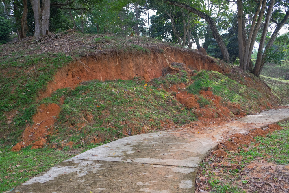 What Causes Landslides & How Do You Protect Your Property Against Them EvoGuard Barrier