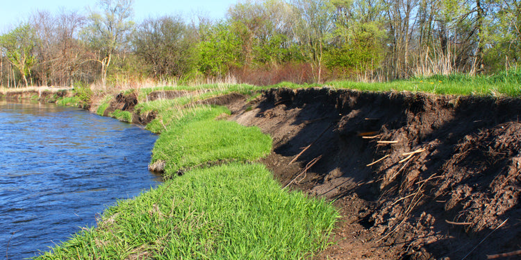 What Causes Landslides & How Do You Protect Your Property Against Them?