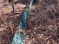 N Carolina Winter Prep