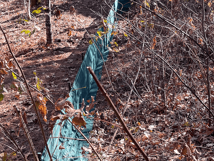 N Carolina Winter Prep