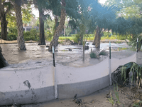 Estero FL, Dewatering