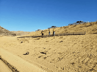 Newhall Wattle Killer