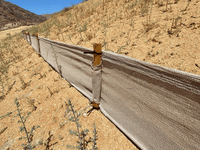 Newhall Wattle Killer