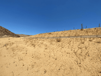 Newhall Wattle Killer