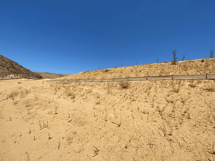 Newhall Wattle Killer