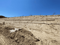 Newhall Wattle Killer