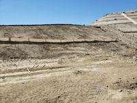 Newhall Wattle Killer