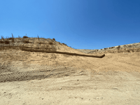 Newhall Wattle Killer