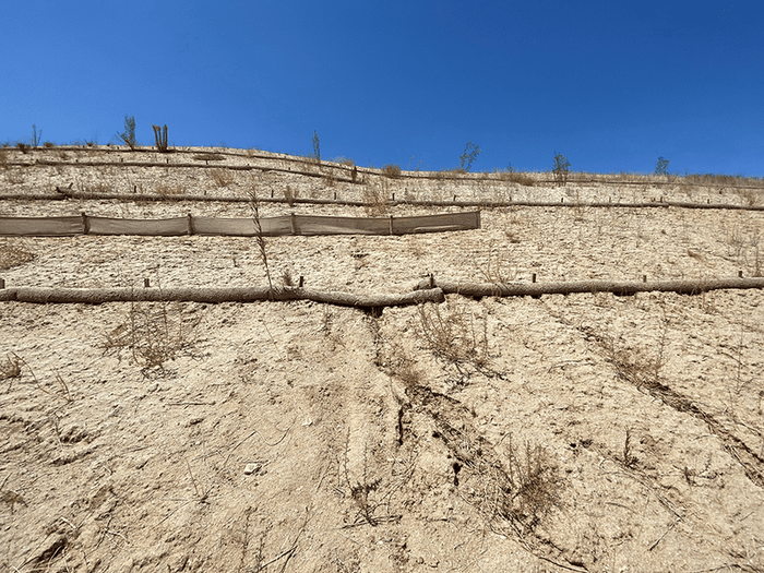 Newhall Wattle Killer