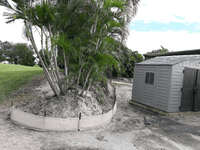 Seagate Wattle Killer