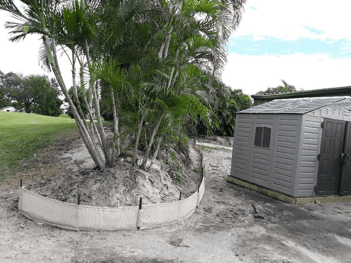 Seagate Wattle Killer