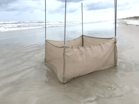 Summer Haven Sea Turtles