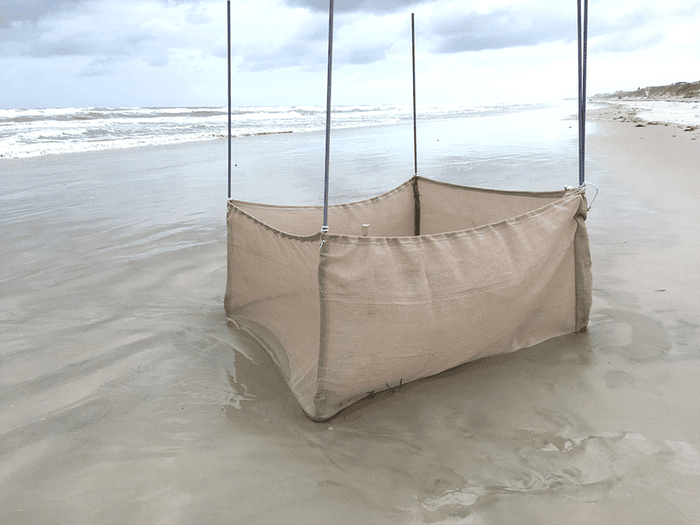 Summer Haven Sea Turtles