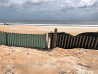 EvoGuard vs Silt, Sand Fence