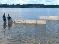 Gallery – EvoGuard - Barrier Protection