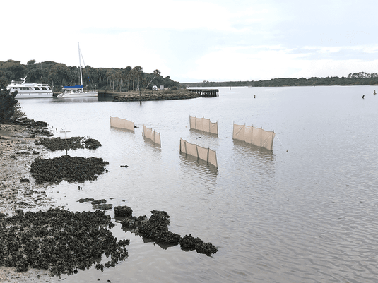 Gallery – EvoGuard - Barrier Protection