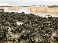 Gallery – EvoGuard - Barrier Protection