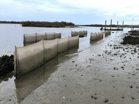 Gallery – EvoGuard - Barrier Protection