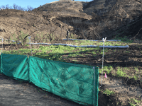 Wood Canyons Park OC