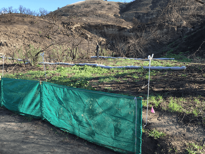 Wood Canyons Park OC