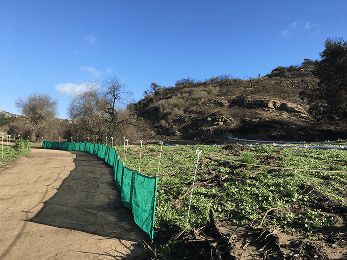 Wood Canyons Park OC