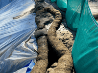 Yubra Buena Perimeter