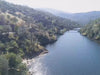 Overhead view of a river surrounded by trees