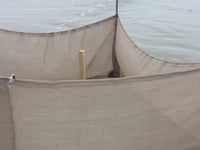 Summer Haven Sea Turtles