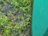 Close up of green weather barrier next to mud